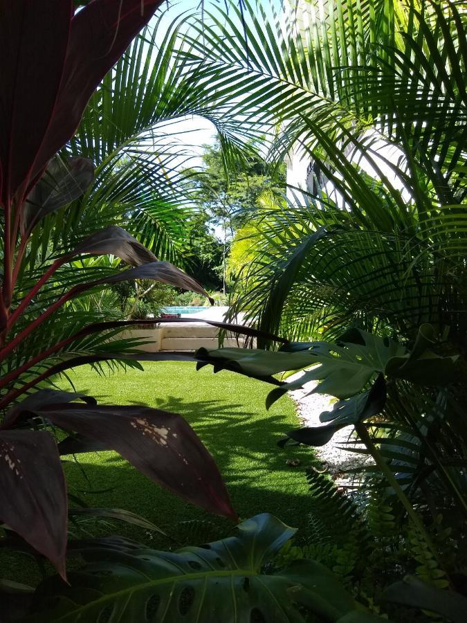 Palm Beach Inn بلايا غراندي المظهر الخارجي الصورة
