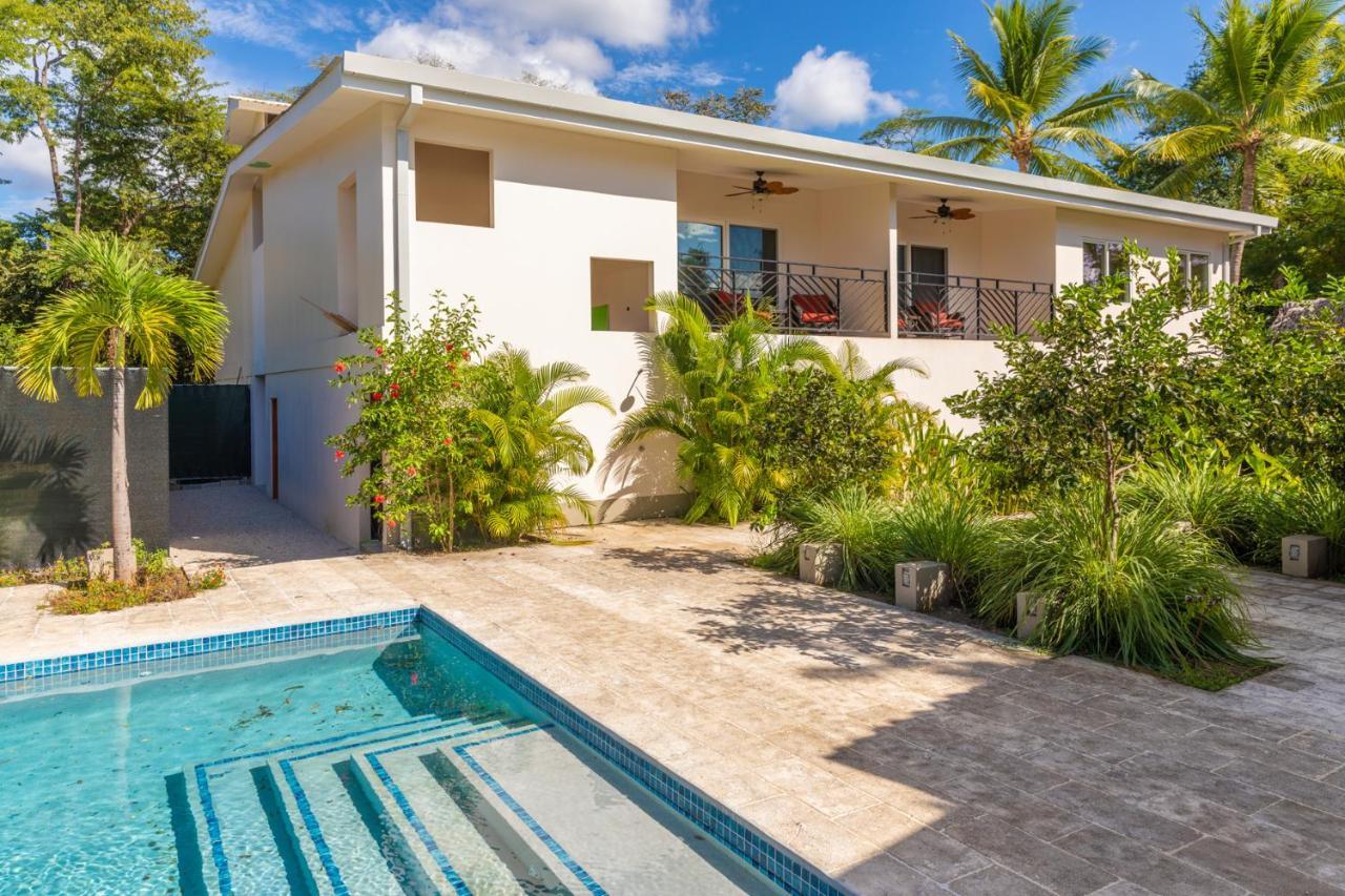 Palm Beach Inn بلايا غراندي المظهر الخارجي الصورة